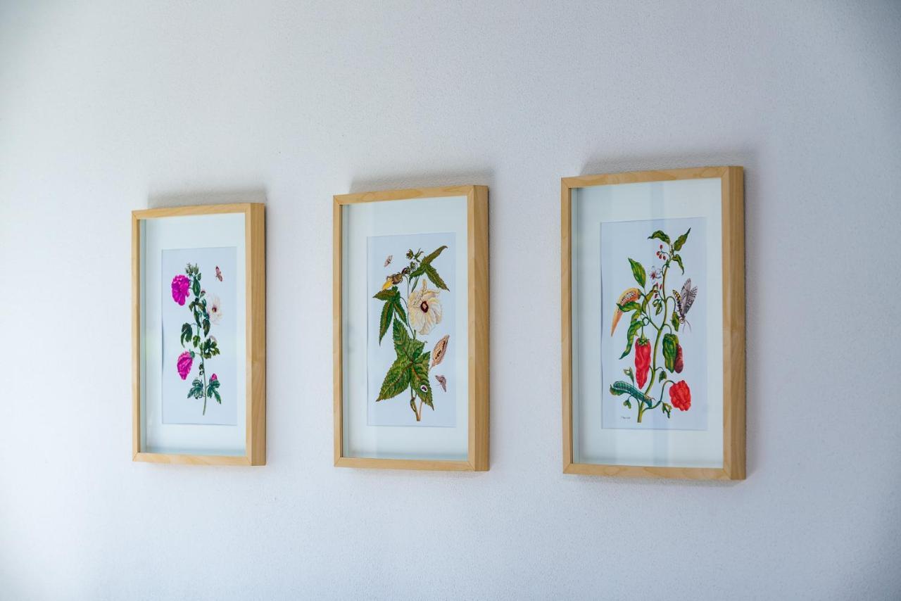 Apartment Le Rose Di Marianne - Ovest
