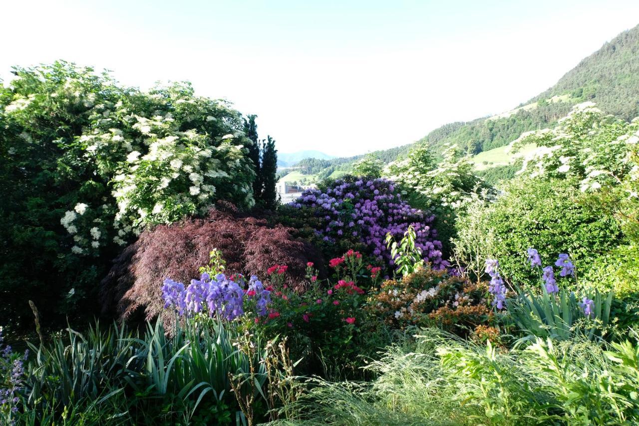Apartment Le Rose Di Marianne - Ovest *