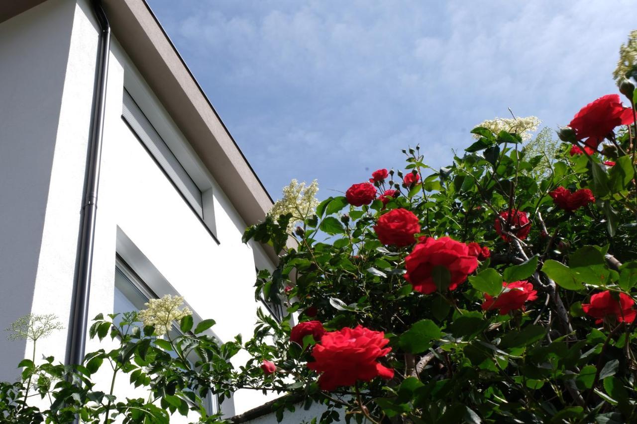 Apartment Le Rose Di Marianne - Ovest